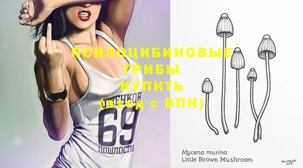 твердый Горно-Алтайск