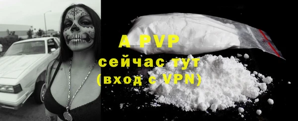 твердый Горно-Алтайск