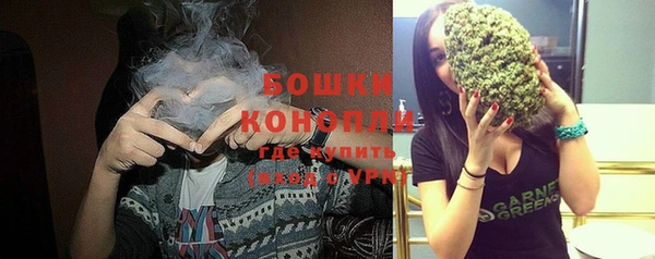 круглые Вяземский